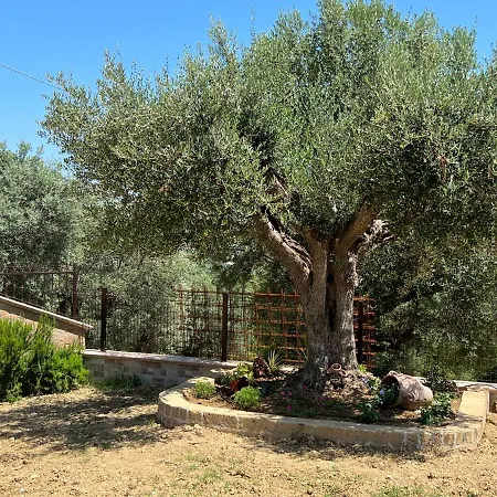 Angela Mosciano Sant'Angelo