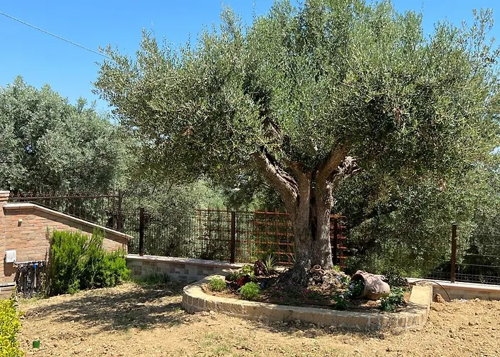 Angela Mosciano SantʼAngelo